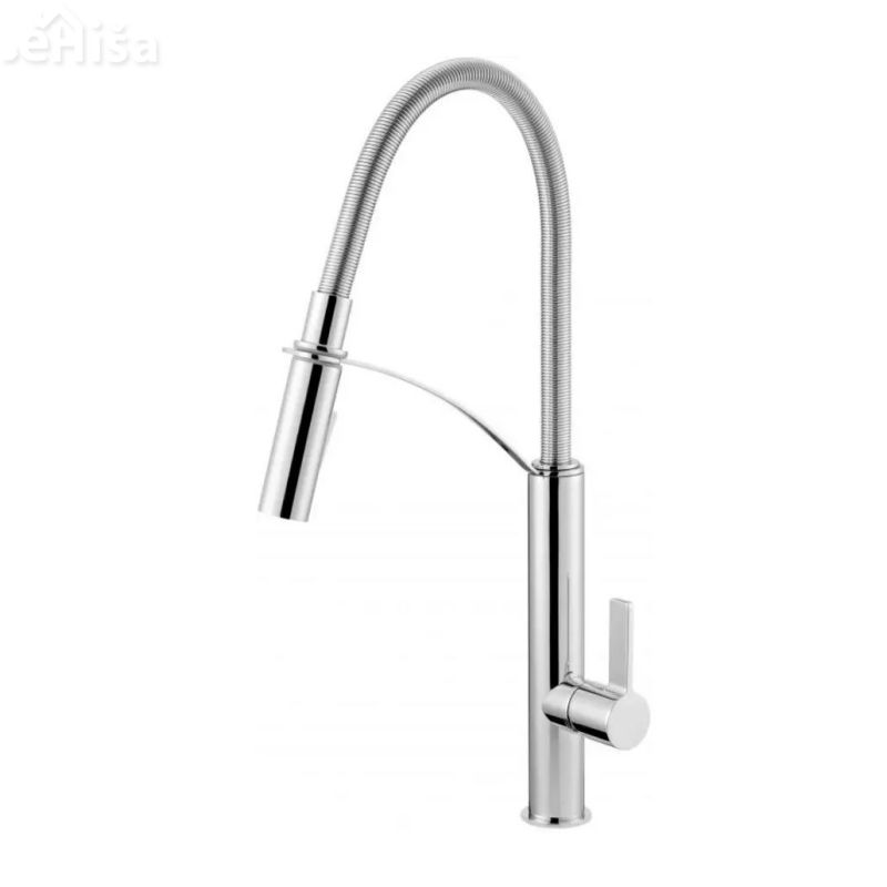 Izvlečna kuhinjska armatura GERBERA krom DEANTE BGB 072M
